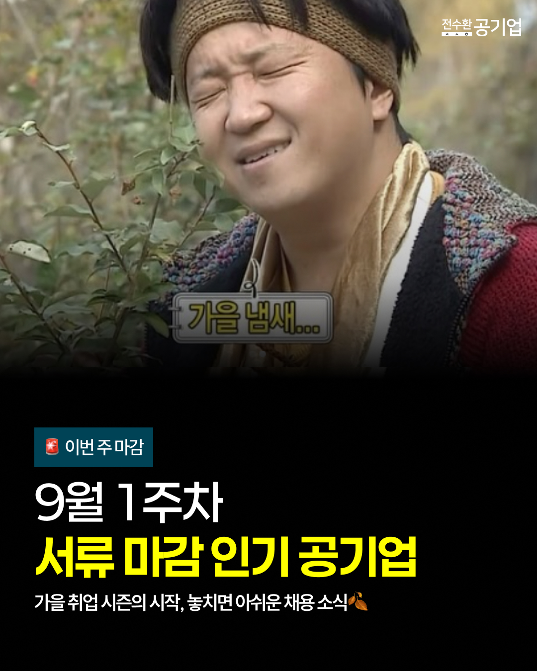 🍂 가을 취업 시즌의 시작, 놓치면 아쉬운 채용 소식